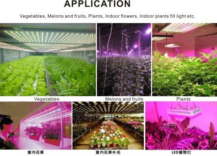 植物生长灯应用-EN.jpg