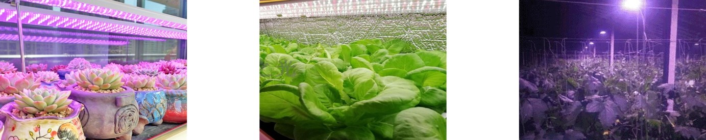 PPFD-2植物生长灯测试系统-3.jpg